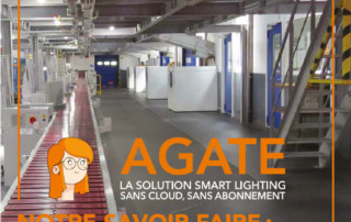 Image de l'annonce Agate dans Lux numéro 304